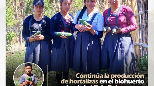 Continúa la Producción