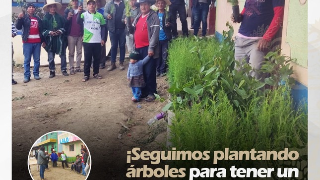Seguimos Plantando
182 