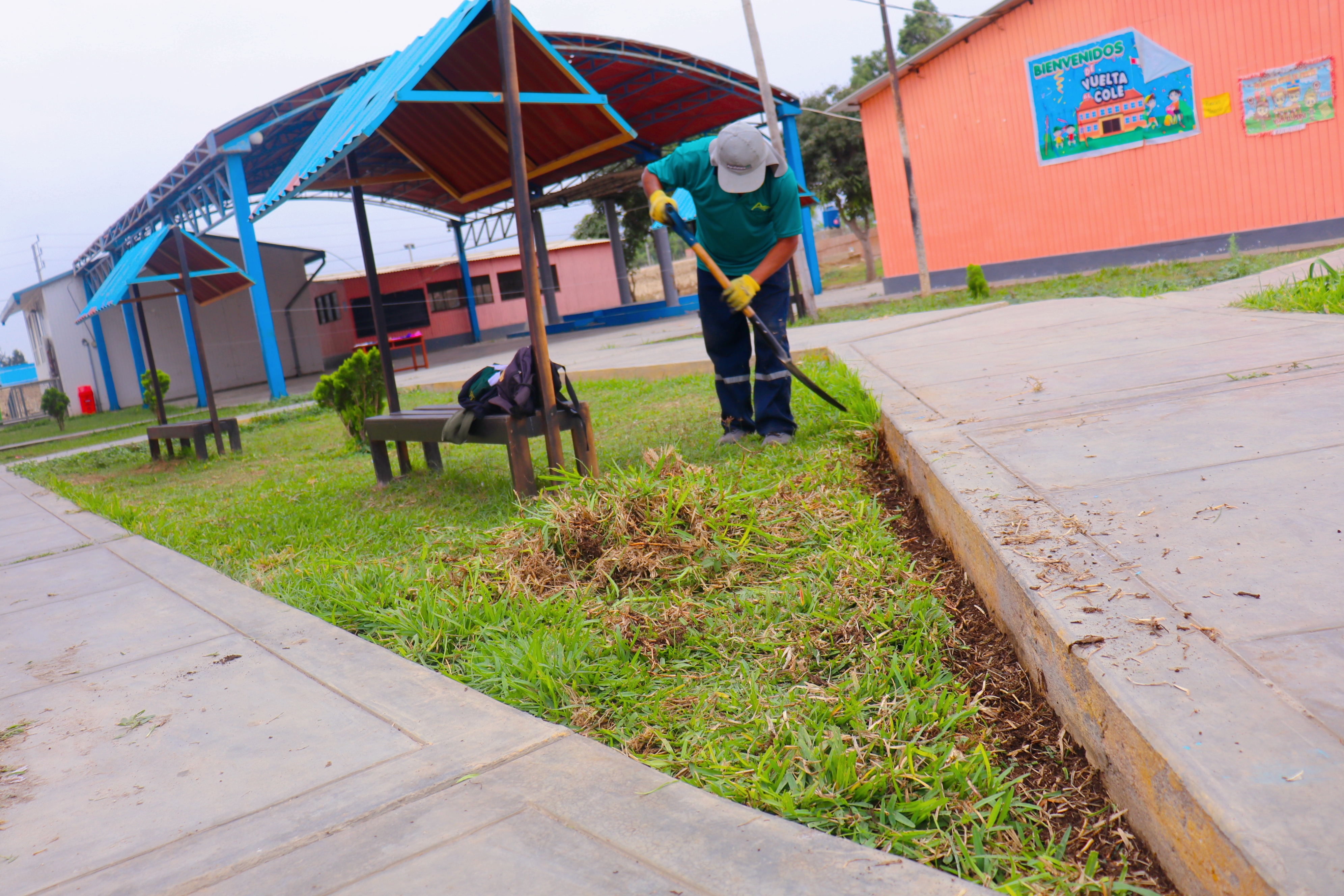 Servicio de jardinería