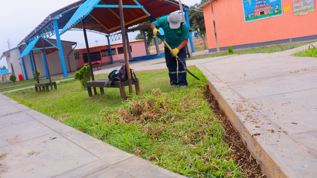 Servicio de jardinería
