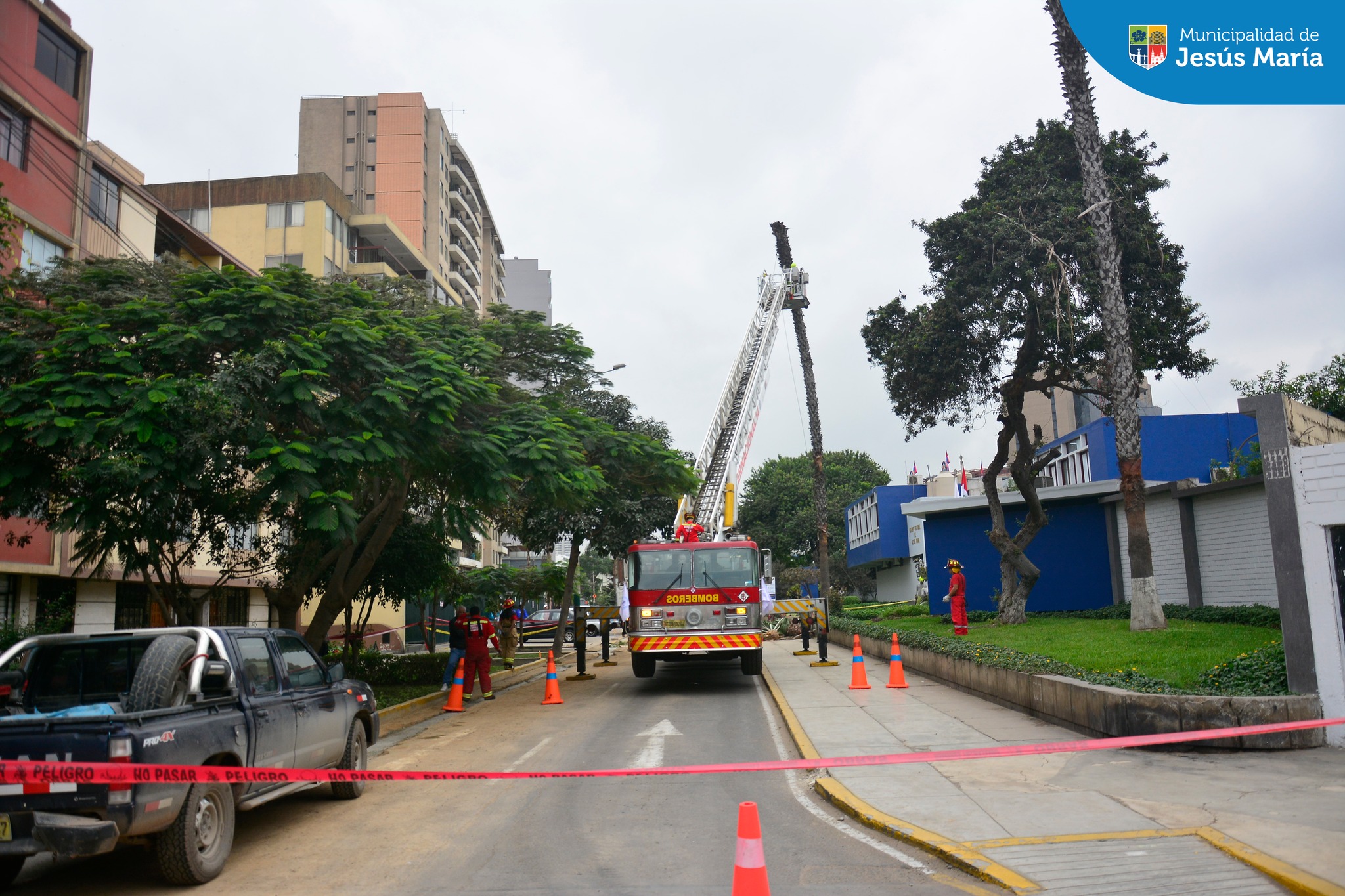 La Municipalidad de Jesús María, a través de la Subgerencia de Limpieza Pública 🧹 y Áreas Verdes🌳 con apoyo de los bomberos 👩🏻🚒, tomaron acción ante el llamado de un vecino que informó de una palmera 🌴 que ponía en riesgo a los transeúntes en la Av. Horacio Urteaga cdra. 5.
Tenemos el objetivo de mantener nuestro distrito seguro, ordenado y limpio fomentando en nuestros vecinos la conservación del medio ambiente. 🤗
Porque en #JesúsMaríaSomosTodos 🫱🏻🫲🏼