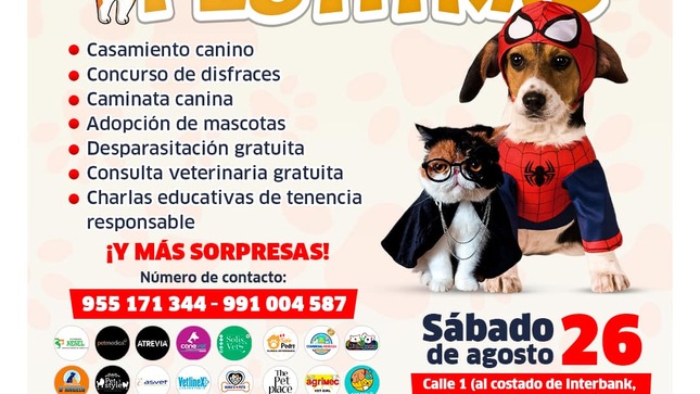 Archivo de JPG sobre una publicación del área de imagen