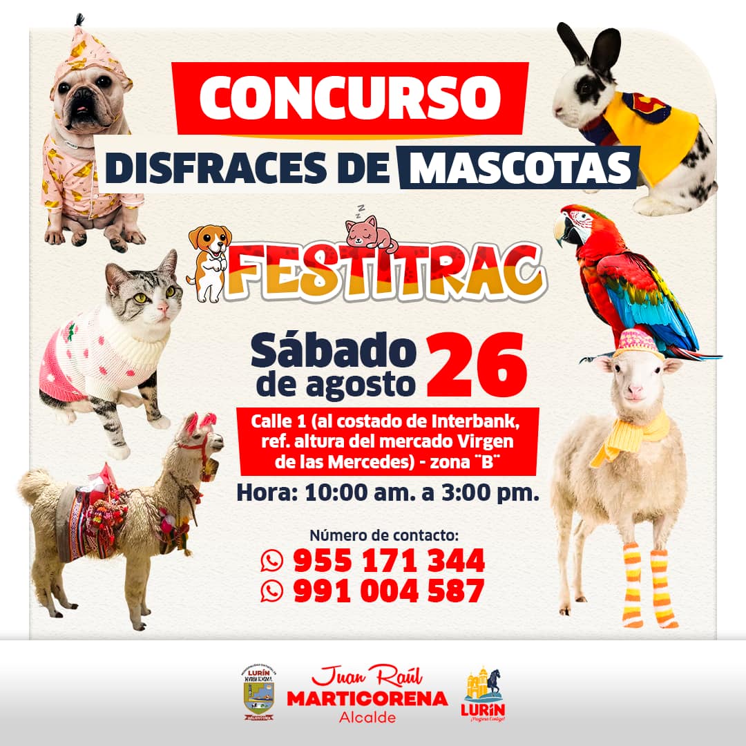 Archivo de JPG sobre una publicación del área de imagen