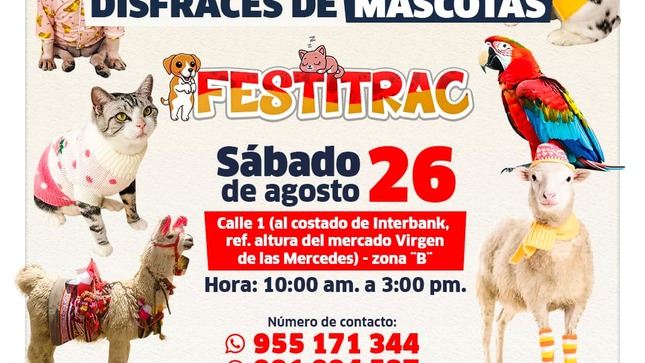 Archivo de JPG sobre una publicación del área de imagen