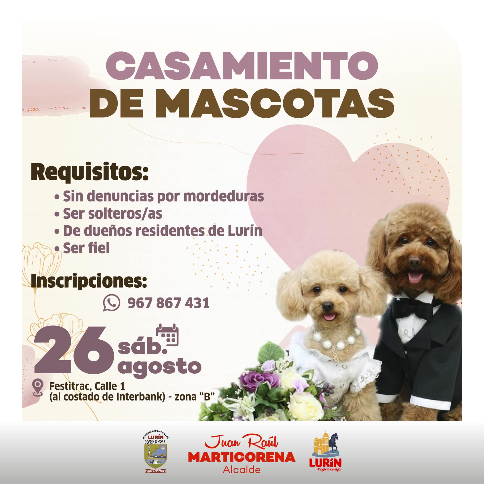 Archivo de JPG sobre una publicación del área de imagen