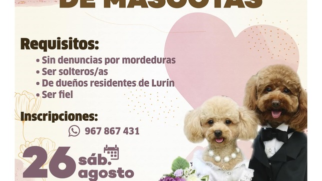 Archivo de JPG sobre una publicación del área de imagen