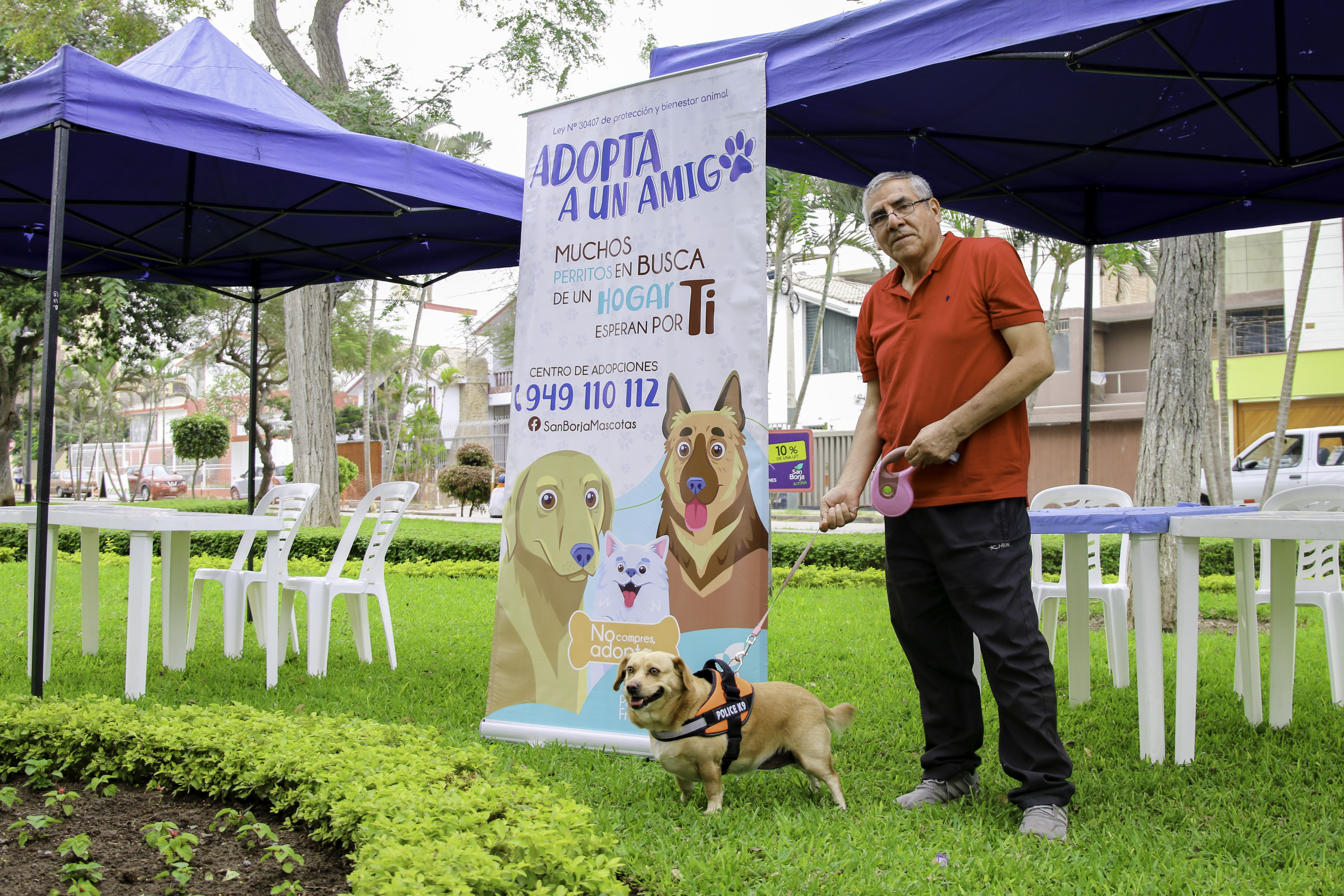 Campaña veterinaria y adopciones de mascotas