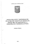 Vista preliminar de documento OM 213 Informe Tecnico de calculo Relleno Sanitario-