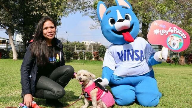 Gobierno aprobó reglamento de la Ley de esterilización de perros y gatos