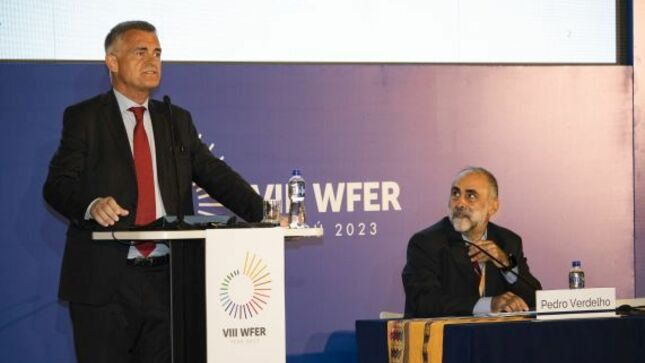 Panel: Integración del mercado de las energías renovables