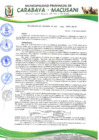 Vista preliminar de documento RESOLUCIÓN DE ALCALDÍA N° 367-2019-MPC-M/A