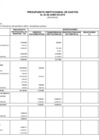 Vista preliminar de documento pp2_gastos_i_semestre_2019