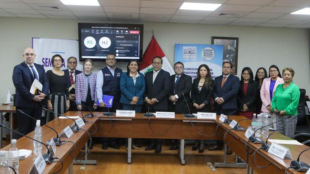 Minsa garantiza la atención integral a niñas y adolescentes víctimas de violencia sexual  