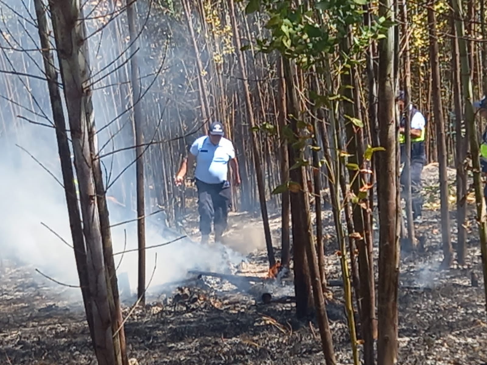 Incendio entre Pampa Chica y Machucara