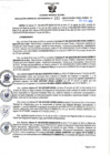 Vista preliminar de documento RGSR N° 322