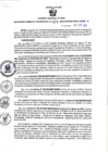 Vista preliminar de documento RGSR N° 324