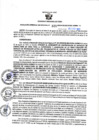 Vista preliminar de documento RGSR N° 325