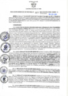 Vista preliminar de documento RGSR N° 327