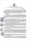 Vista preliminar de documento RGSR N° 332