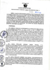 Vista preliminar de documento RGSR N° 333