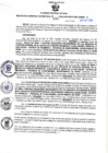 Vista preliminar de documento RGSR N° 334
