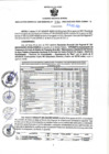 Vista preliminar de documento RGSR N° 336