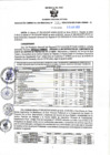 Vista preliminar de documento RGSR N° 338