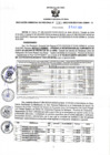 Vista preliminar de documento RGSR N° 339