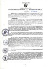Vista preliminar de documento RGSR N° 342