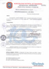 Vista preliminar de documento RA 017-2020