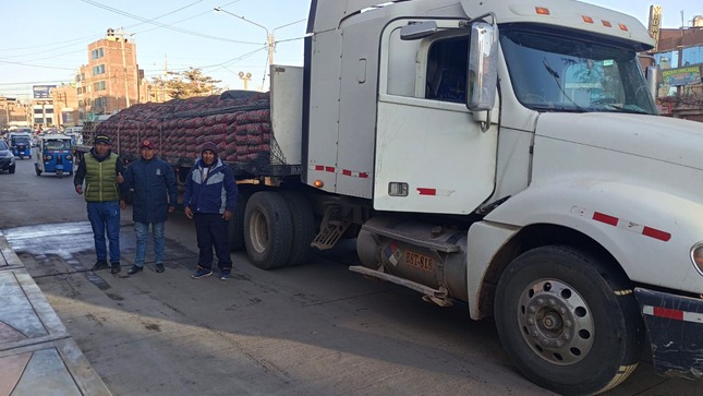 materiales de cemento para módulos en moho