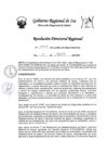 Vista preliminar de documento RDR-1052-2023