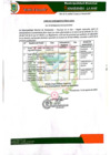 Vista preliminar de documento PUBLICACION