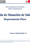 Vista preliminar de documento Sala situacional de Dengue SE 033-2023