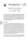 Vista preliminar de documento RDR-1065-2023