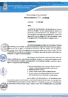 Vista preliminar de documento RG N 703 QR