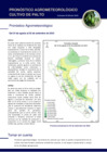 Vista preliminar de documento palto_monitoreo_2ago23