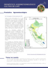 Vista preliminar de documento cafe_monitoreo_2ago23