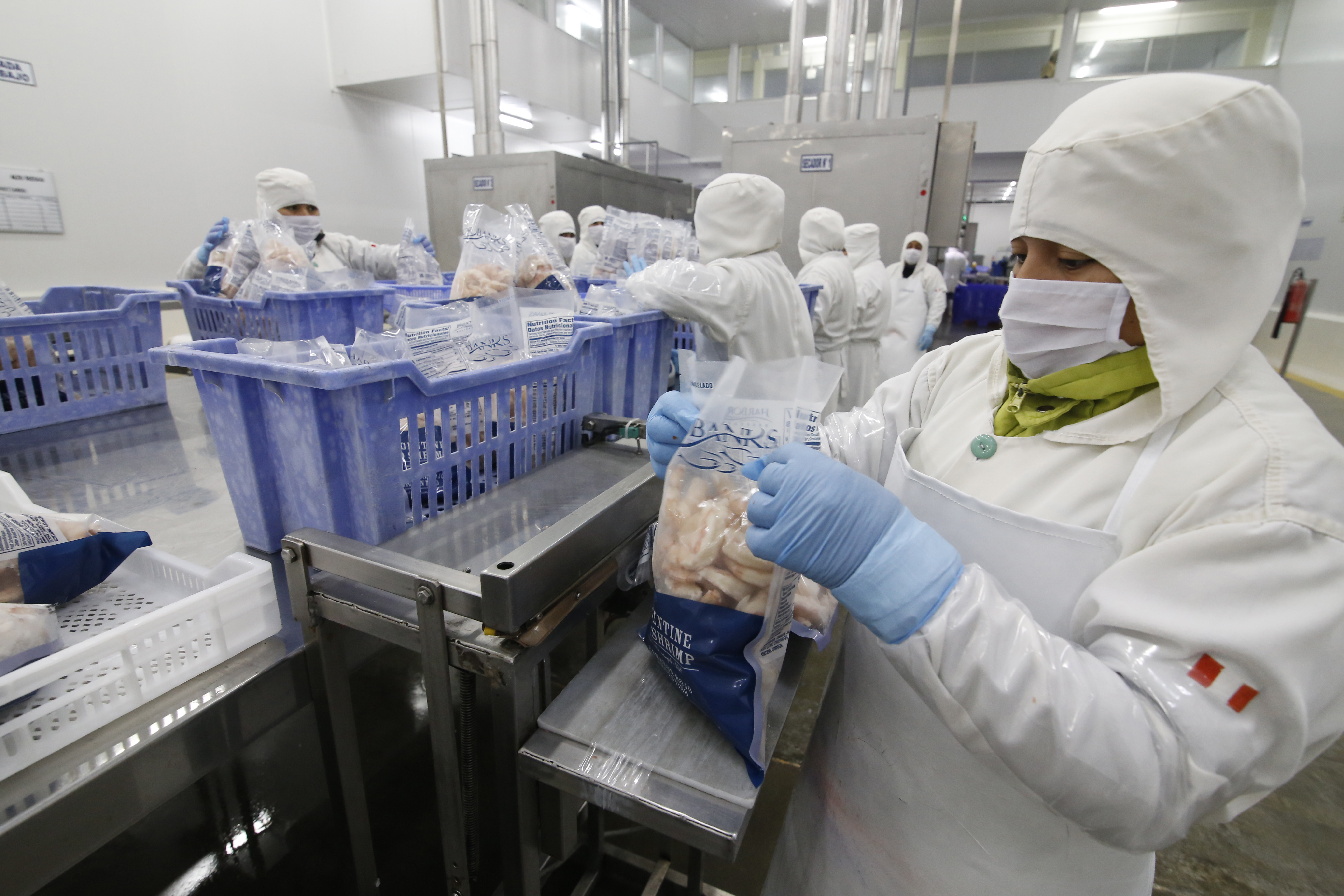 México será próximo destino del langostino peruano de exportación