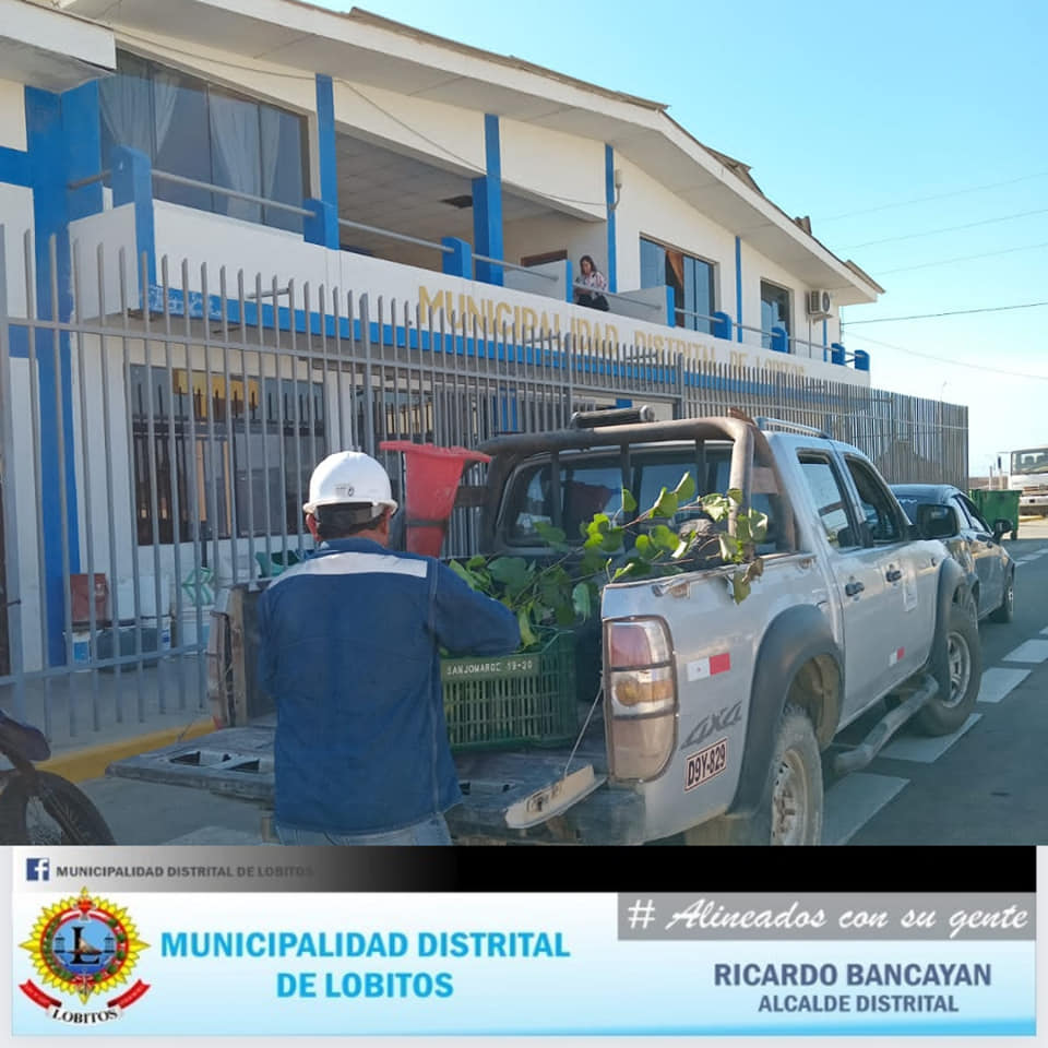 Archivo JPG de Municipalidad Recibe Donacion De Plantas Para Embellecer El Distrito
