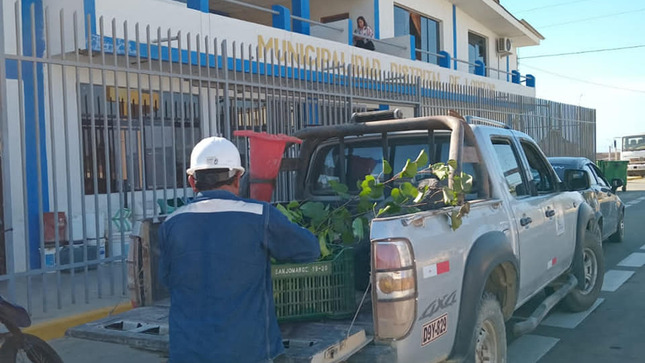 Archivo JPG de Municipalidad Recibe Donacion De Plantas Para Embellecer El Distrito