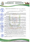 Vista preliminar de documento ORDENANZA MUNICIPAL N° 006-2029-MPC-M/A