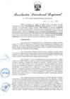 Vista preliminar de documento RDR-393-2023