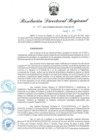 Vista preliminar de documento RDR-411-2023