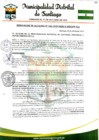 Vista preliminar de documento Resolucion de Alcaldia 306