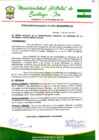Vista preliminar de documento Resolucion de Alcaldia 311