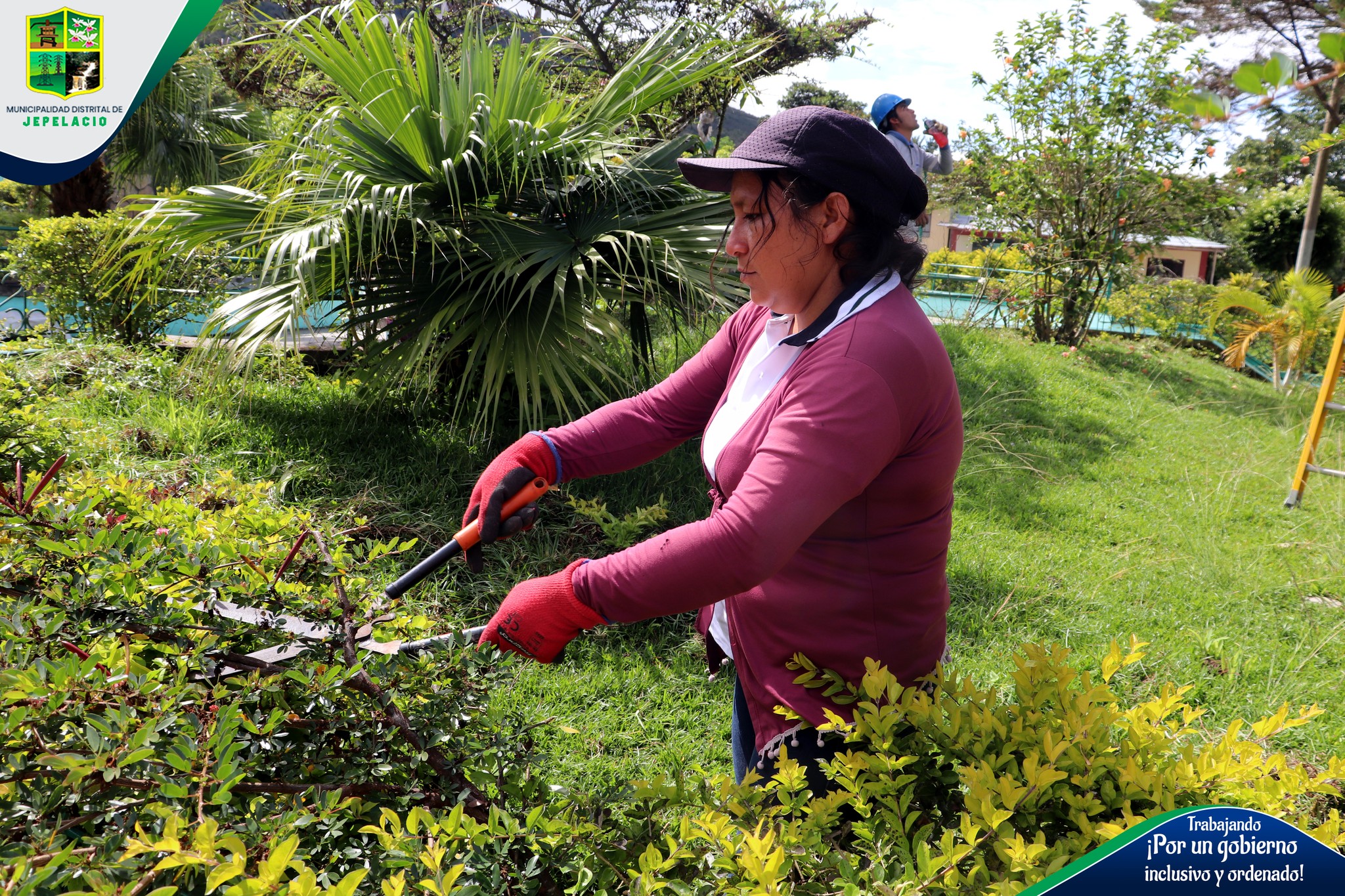 ¡RESCATANDO NUESTRAS ÁREAS VERDES!🌳