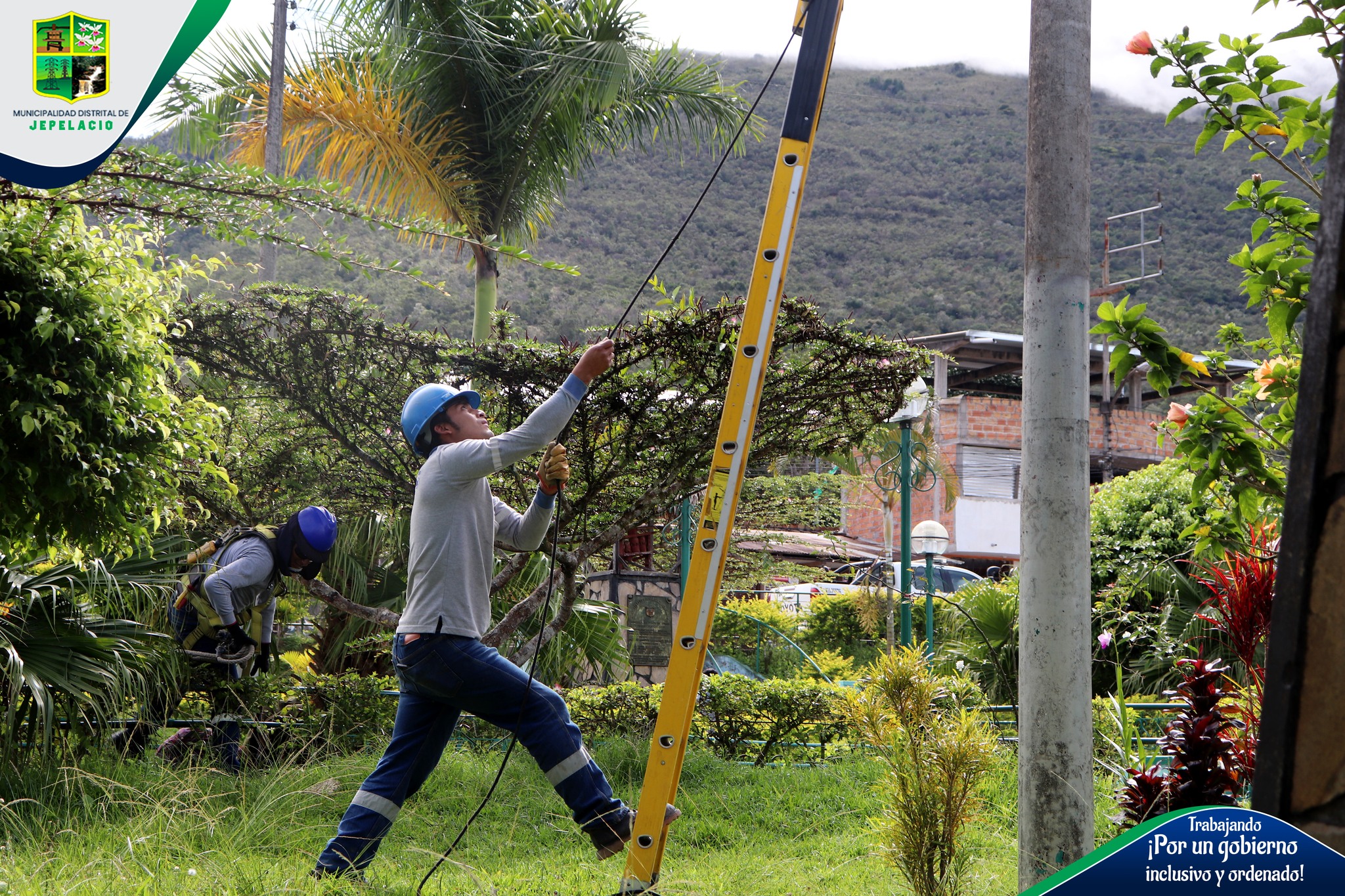 ¡RESCATANDO NUESTRAS ÁREAS VERDES!🌳