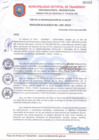 Vista preliminar de documento RA 062-2020