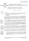 Vista preliminar de documento R.G.R. N295-2023GRT-GRI-GR_21Ago2023
